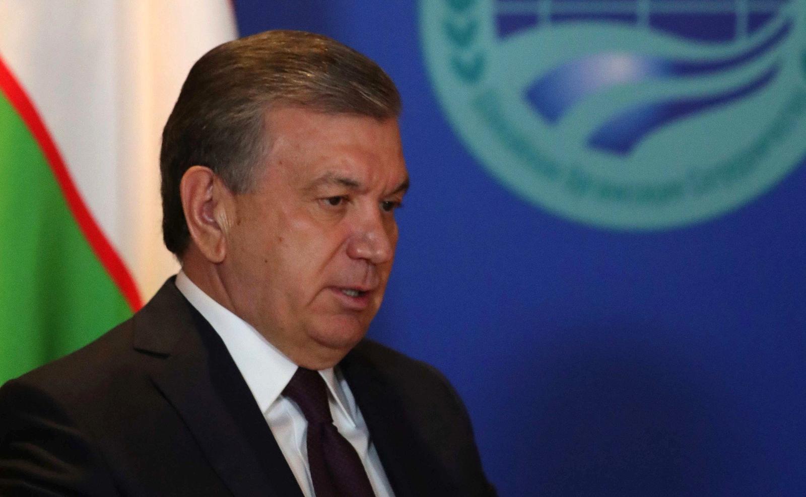 Uzbek Presidential Election Highlights Advancements and Shortcomings in Country's Reform Efforts