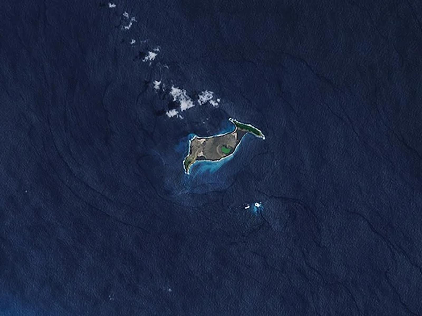 Scientists Discover New Life on New Tongan Island