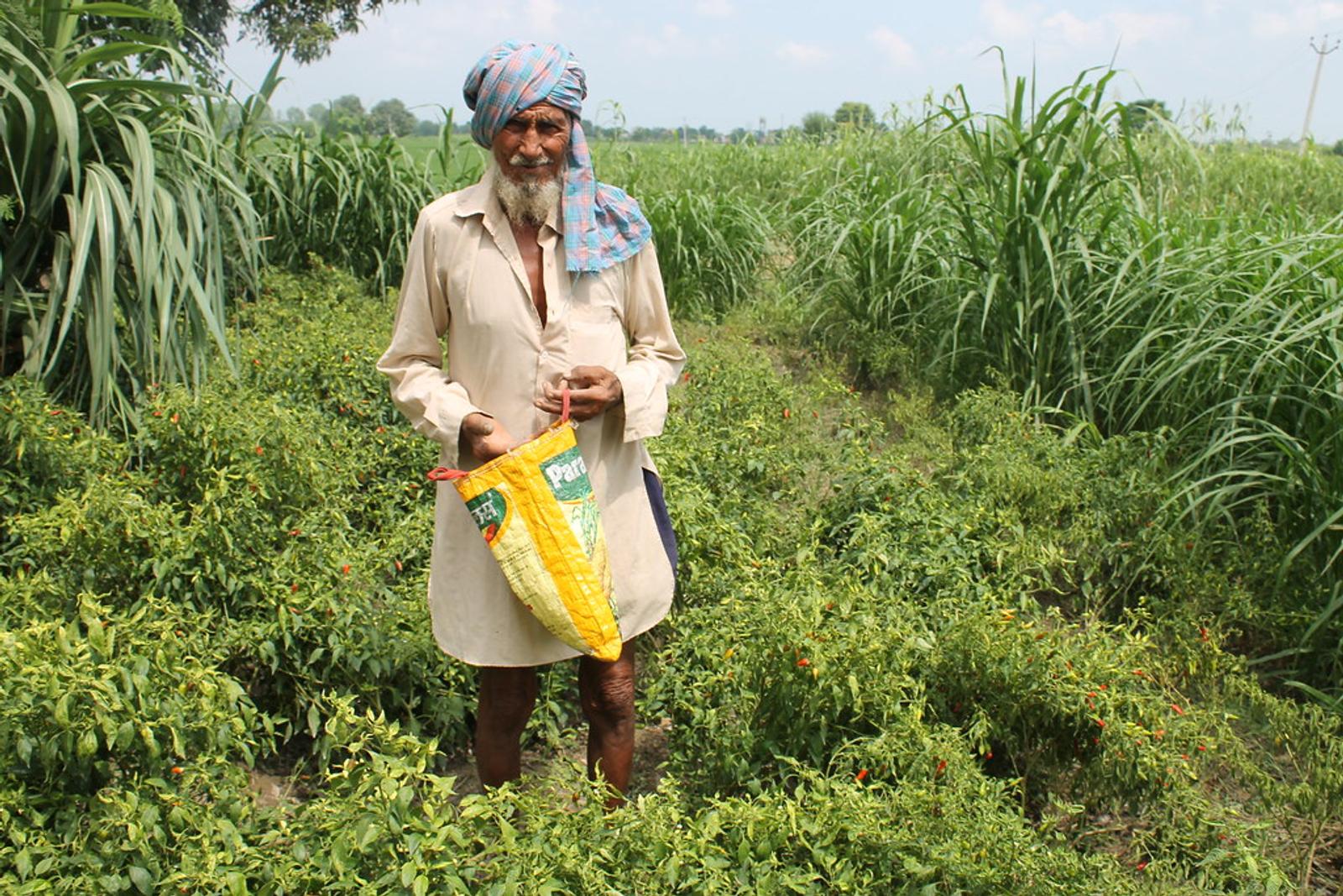 Compass Money: Indian Farmers "Ready to Die" to Scrap Modi’s Agricultural Laws