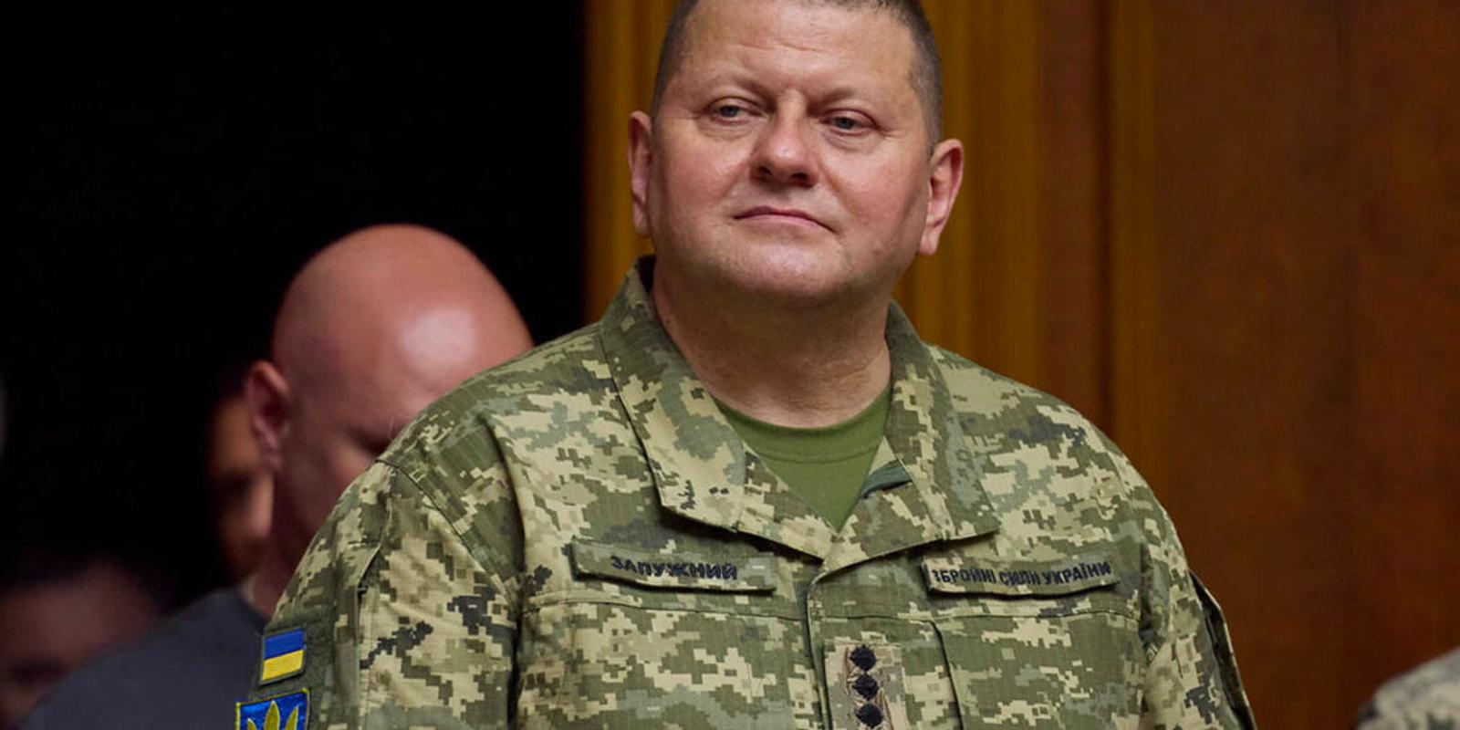 The February 8 firing of Ukraine’s top general, Valery Zaluzhny, prompted frustration among the considerable share in the Ukrainian public who supported his leadership 
