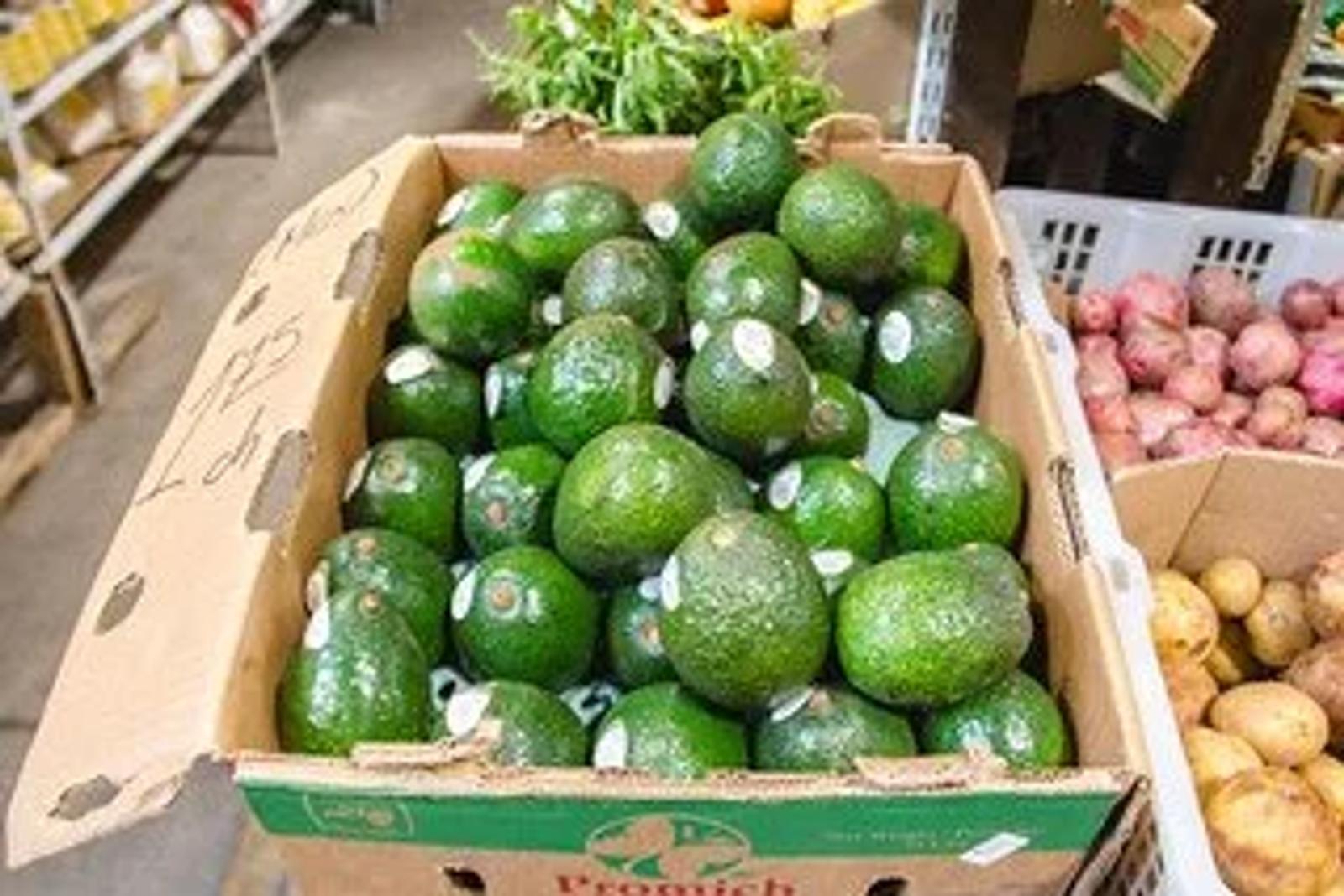 United States Bans Avocado Imports from Mexico in Response to Violent Threat Towards U.S. Safety Inspector