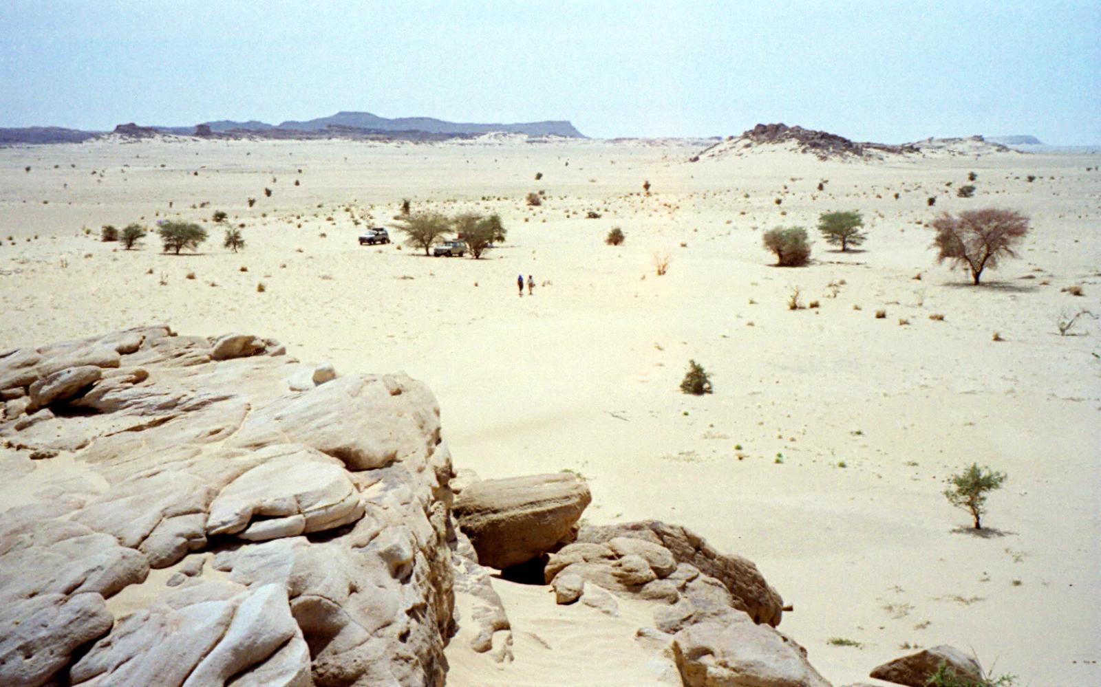 Algeria Forces Sub-Saharan African Refugees Across Border into Niger