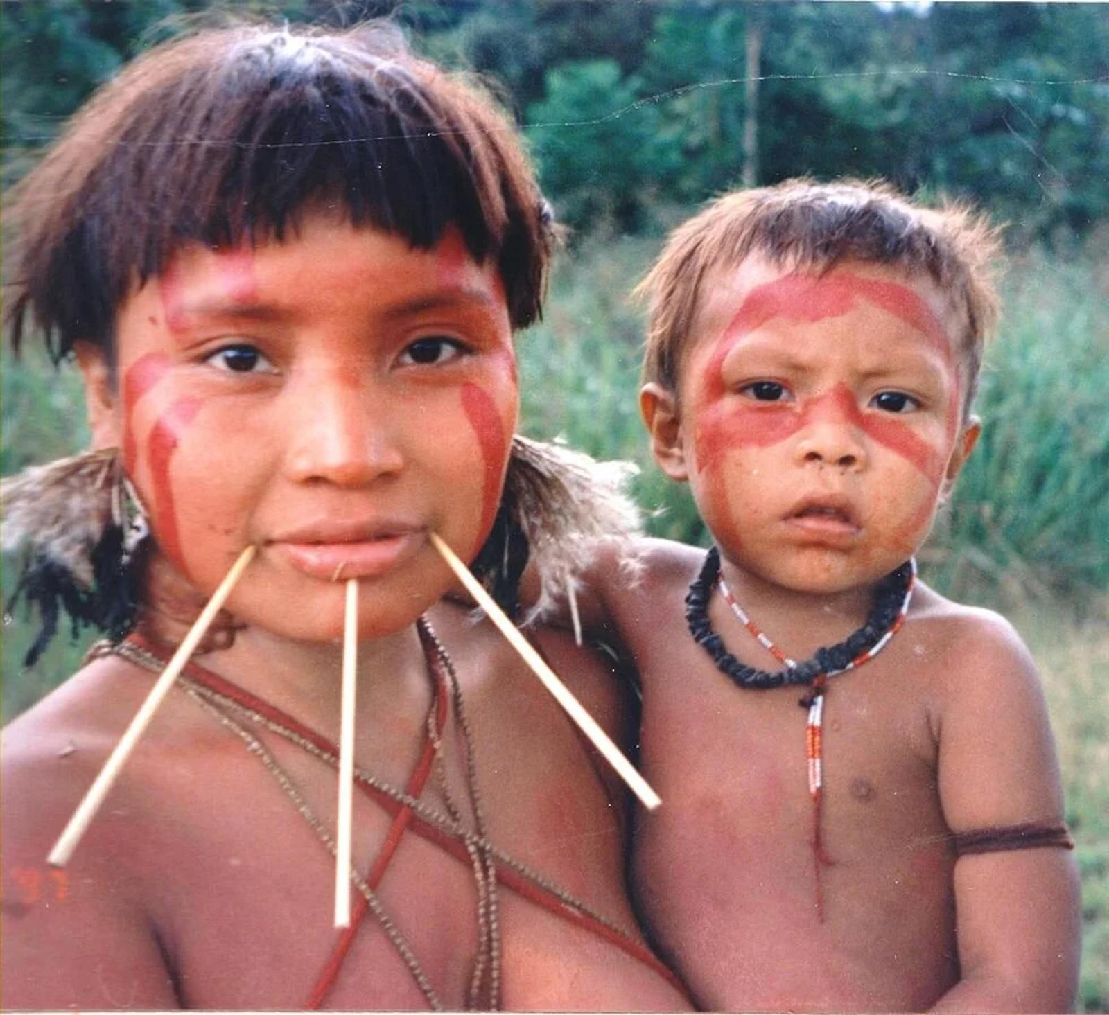 Compass World: An Eerily Silent Extinction