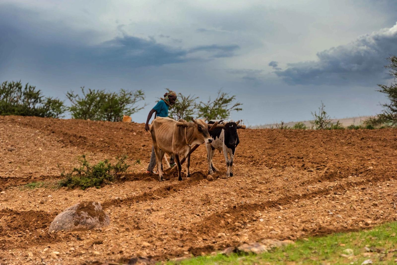 African Countries Push for Climate Justice As COP26 Begins