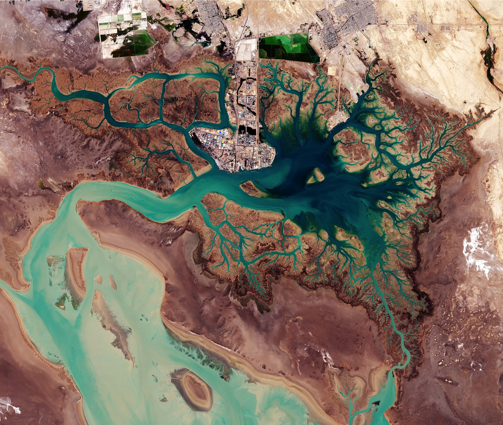 Iran’s Water Crisis Is the Regime’s Self-Inflicted Time Bomb