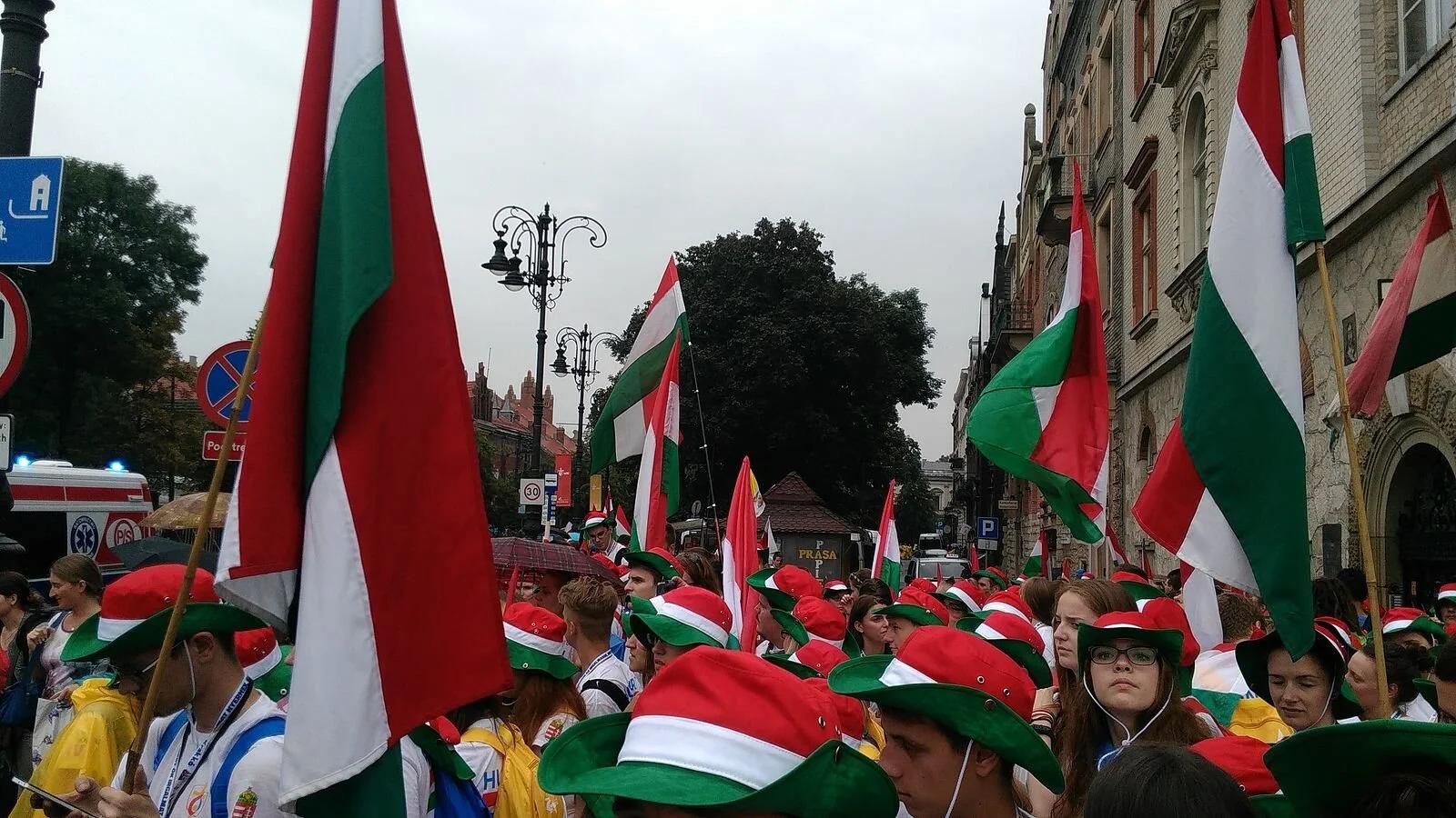 Ukraine Accuses Hungary of Interfering in Local Elections