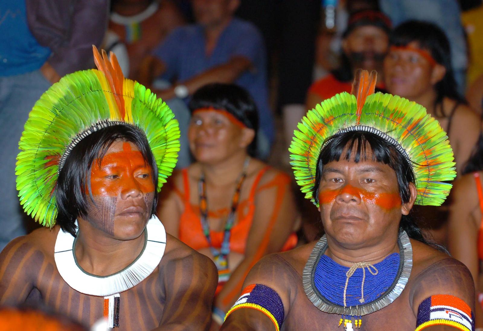 COVID-19 Threatens Eradication of Brazil’s Indigenous Peoples