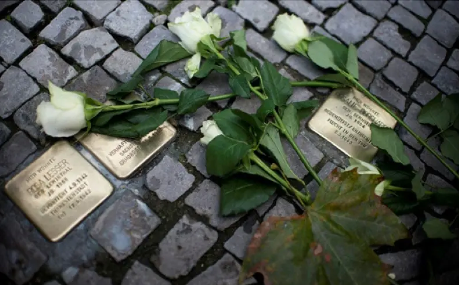 The Amsterdam Pogrom: Rising Antisemitism in the Netherlands and Its Historical Echoes