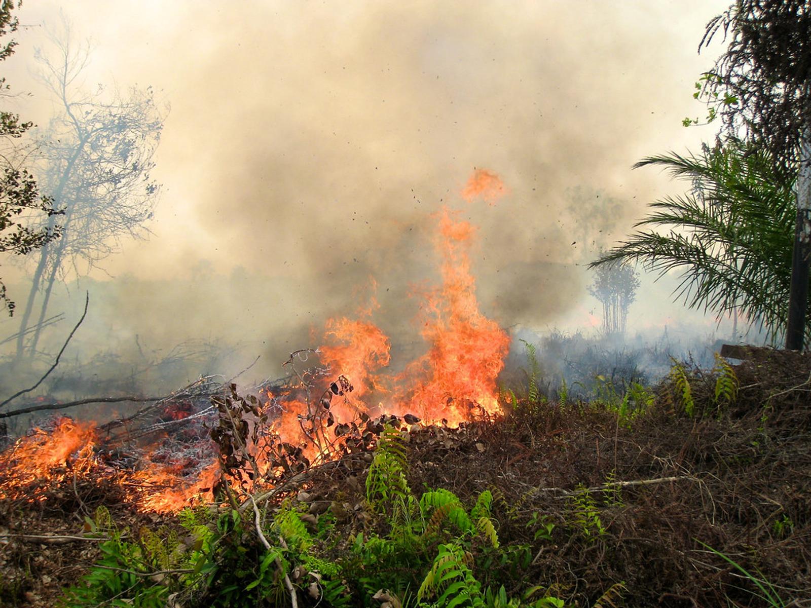 Malaysia Confronts Indonesia Over Increase in Dangerous Transnational Haze
