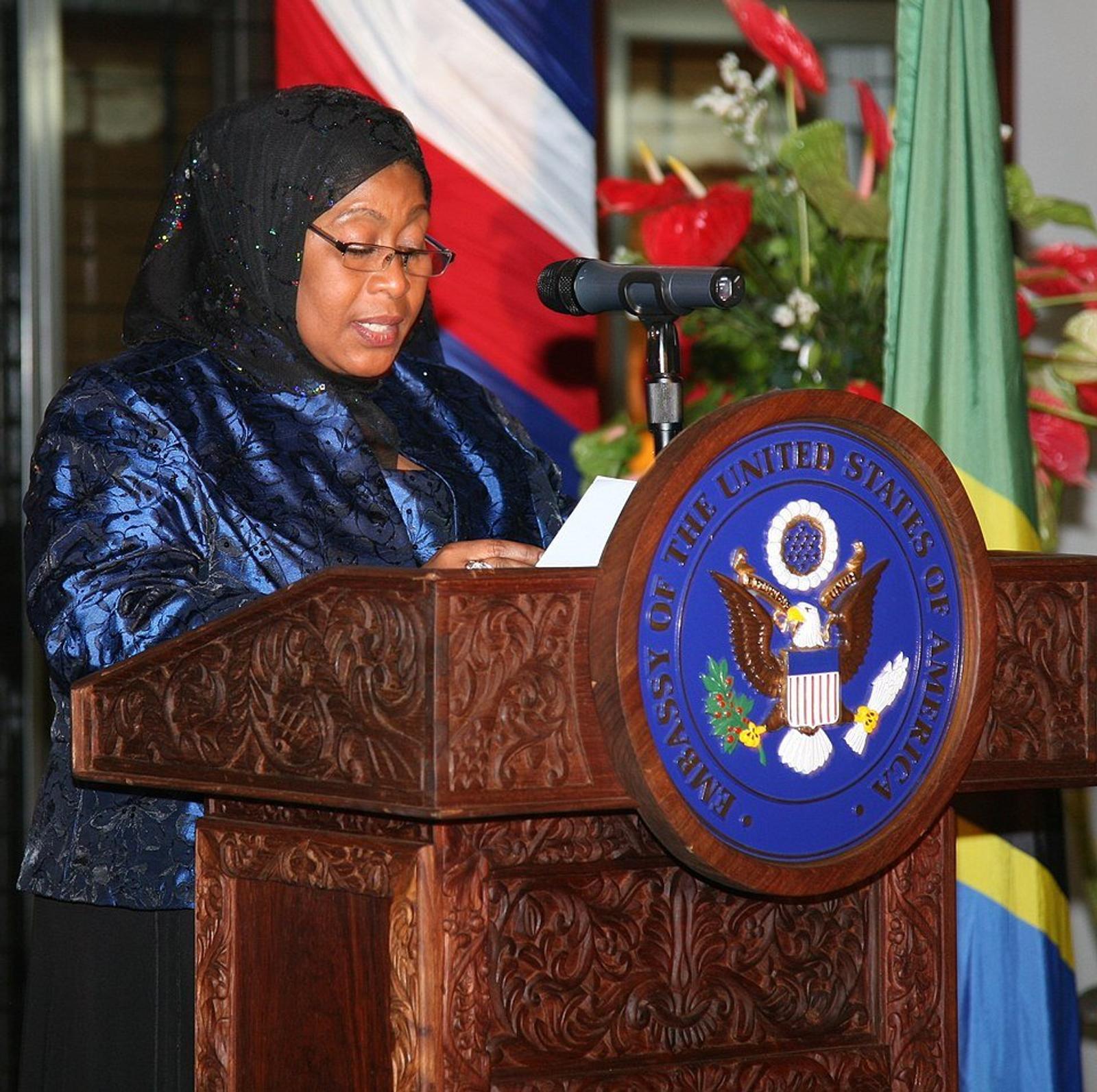Tanzanian Former Ambassador Abducted