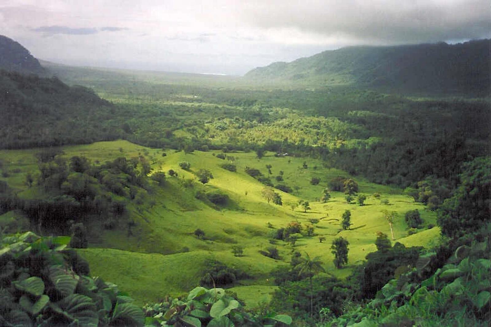 Samoa Declares State of Emergency Amid Measles Epidemic