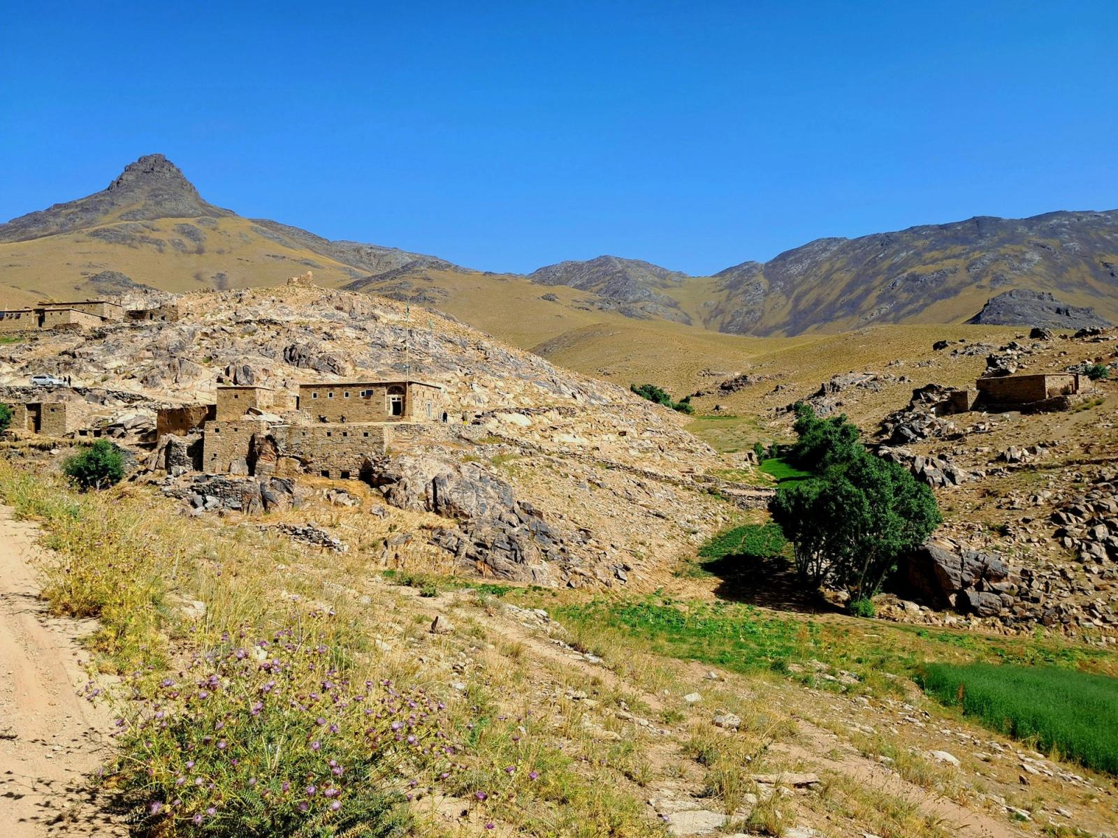 UNSC: New al-Qaeda Training Camps and Radicalization Efforts in Afghanistan, Despite Taliban Claims