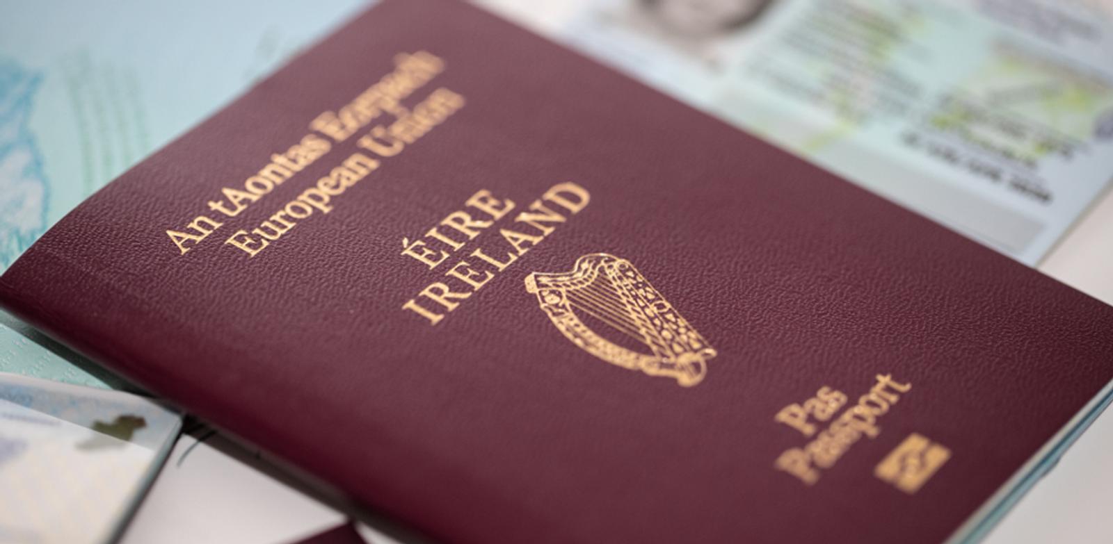 Irish Senate Considers Birthright Citizenship