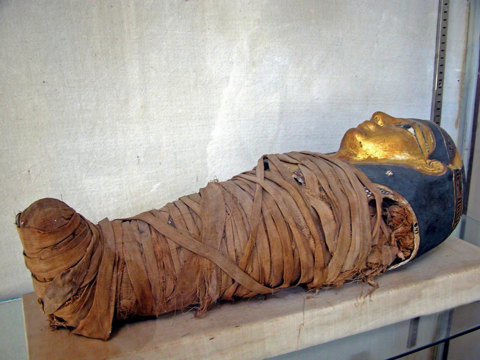Compass World: Egypt Unveils 30 Recently-Uncovered Coffins