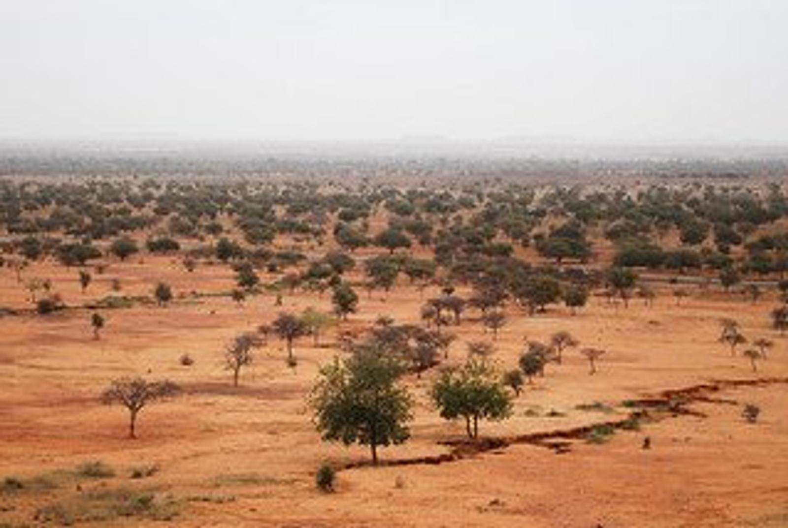 The Great Green Wall Continues to Address Climate Change