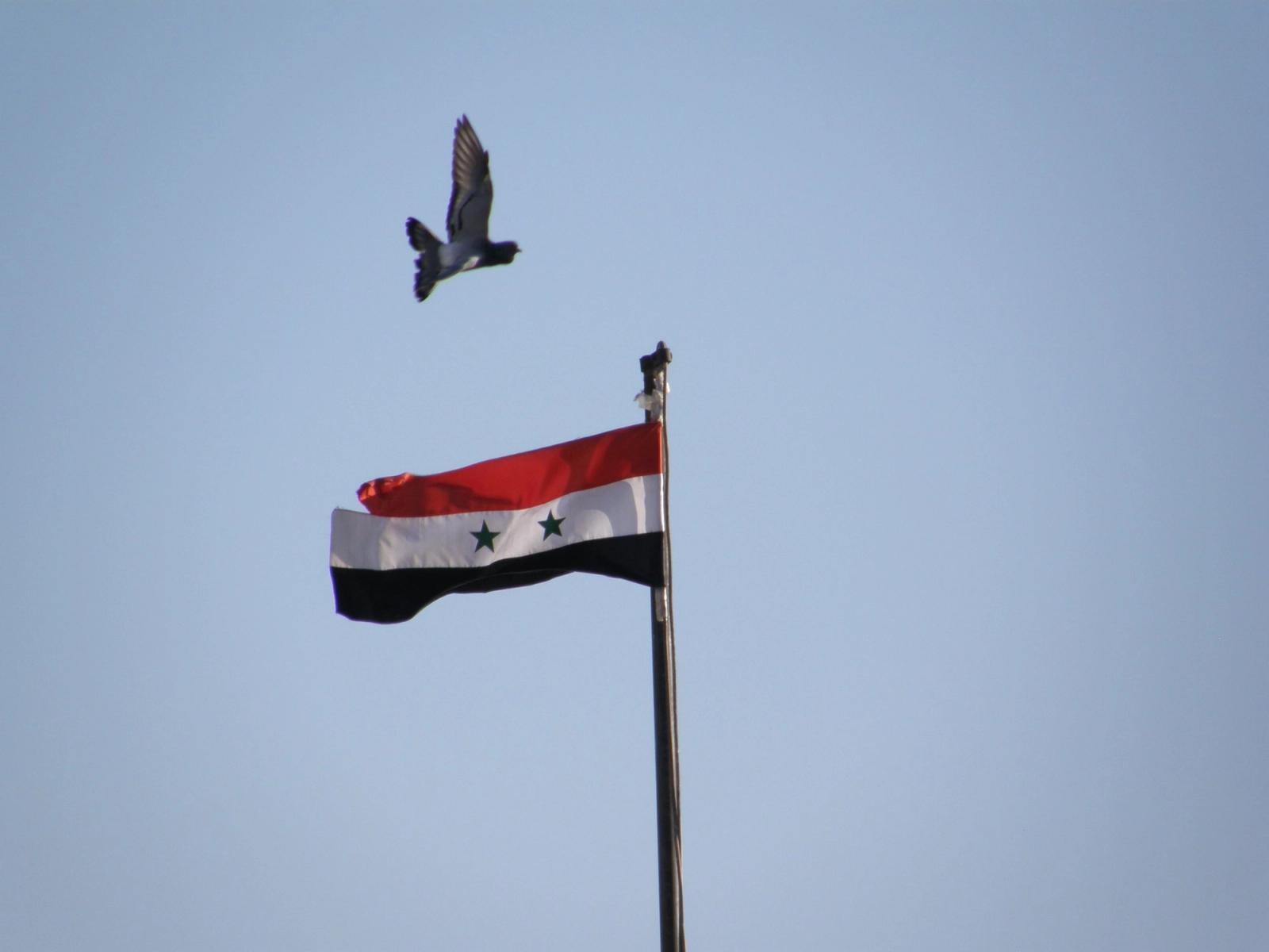 South Korea Establishes Diplomatic Relations with New Syrian Government