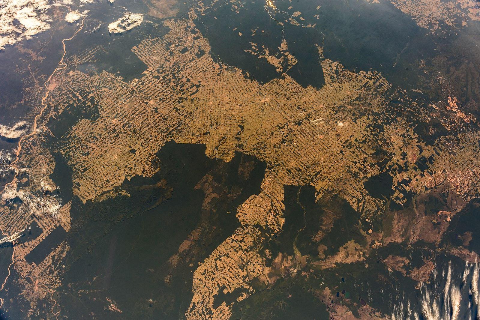 Amazon Deforestation Sends Mixed Messages