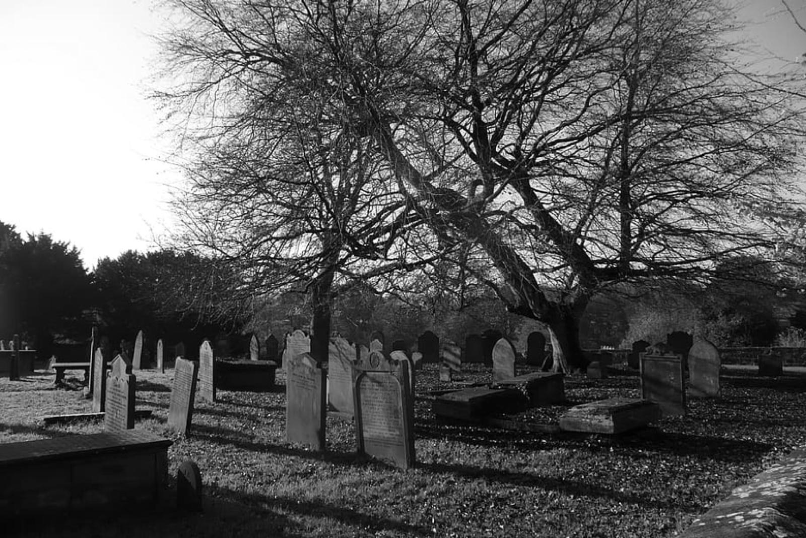 Compass Money: The Living Dead – Widespread COVID-19 bailouts may swell the ranks of zombie companies