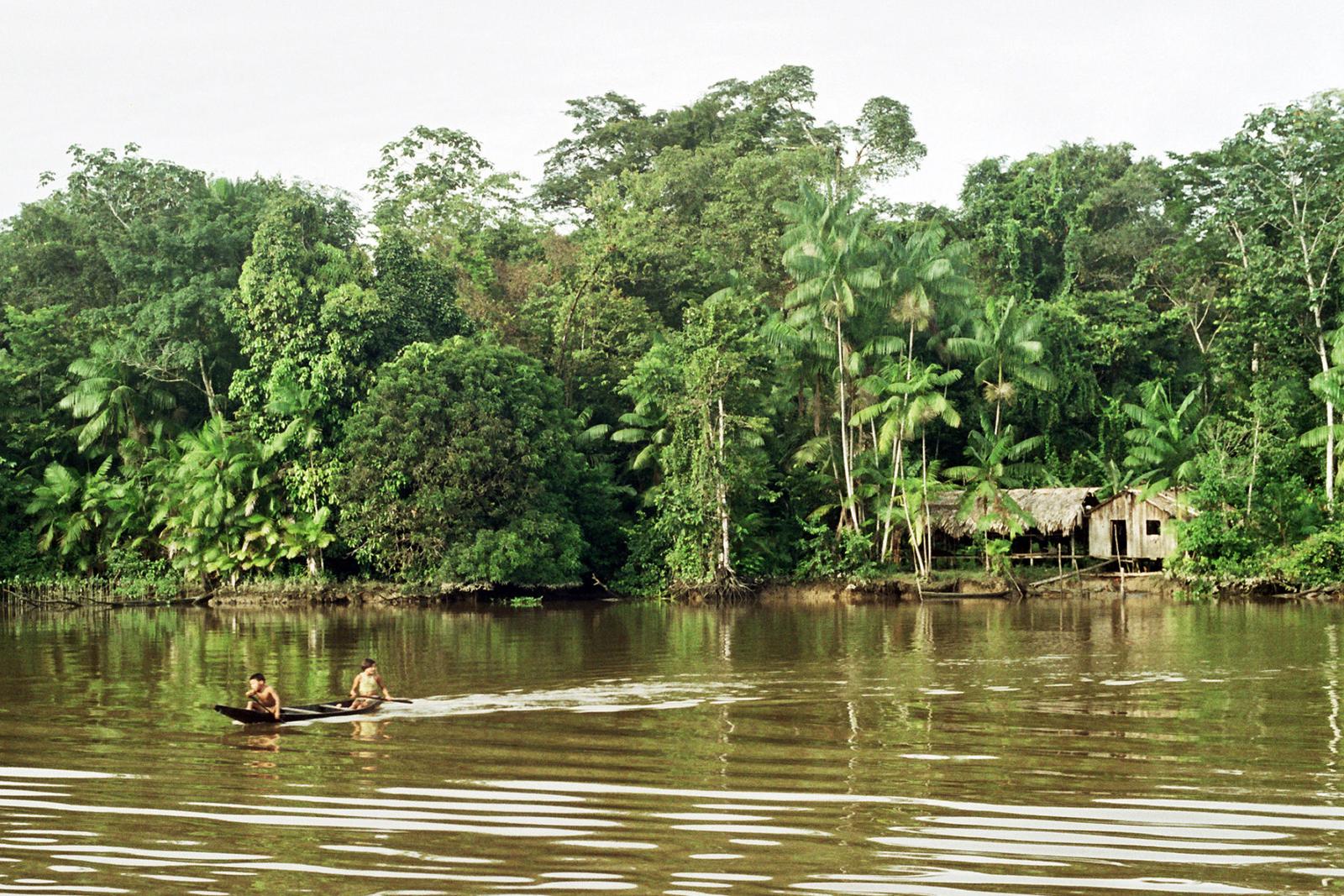 Brazil Holds Hearing in Amazon on Indigenous Rights