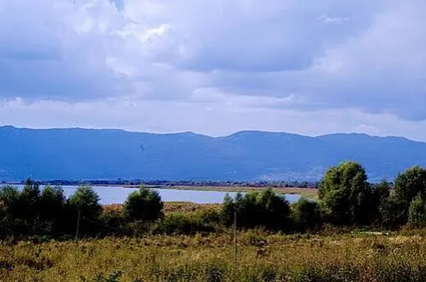Асамати