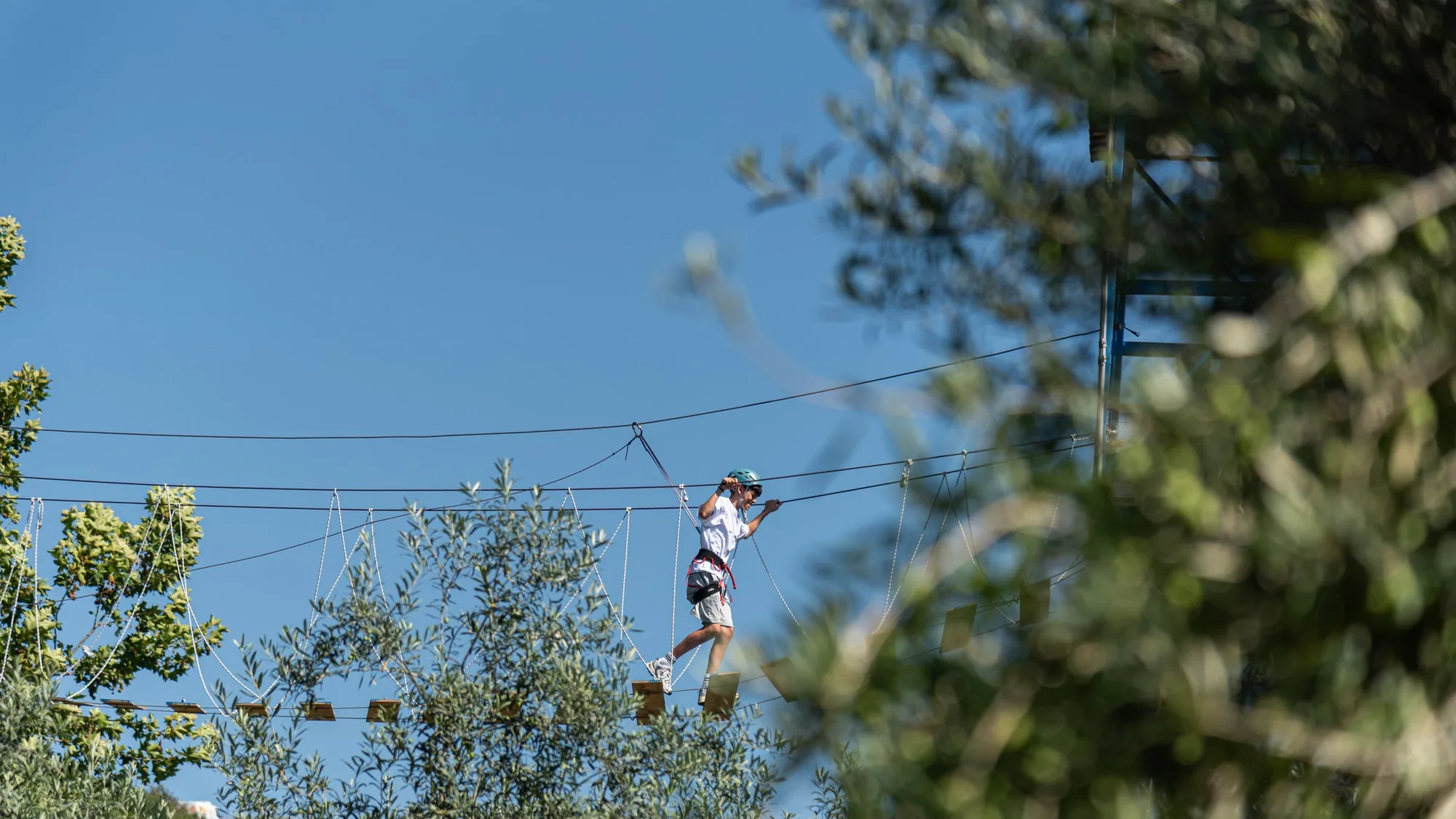 Child crossing a rope course between olive trees against a clear blue sky