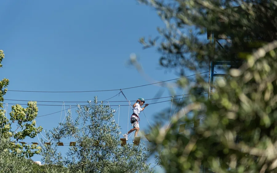 Child crossing a rope course between olive trees against a clear blue sky