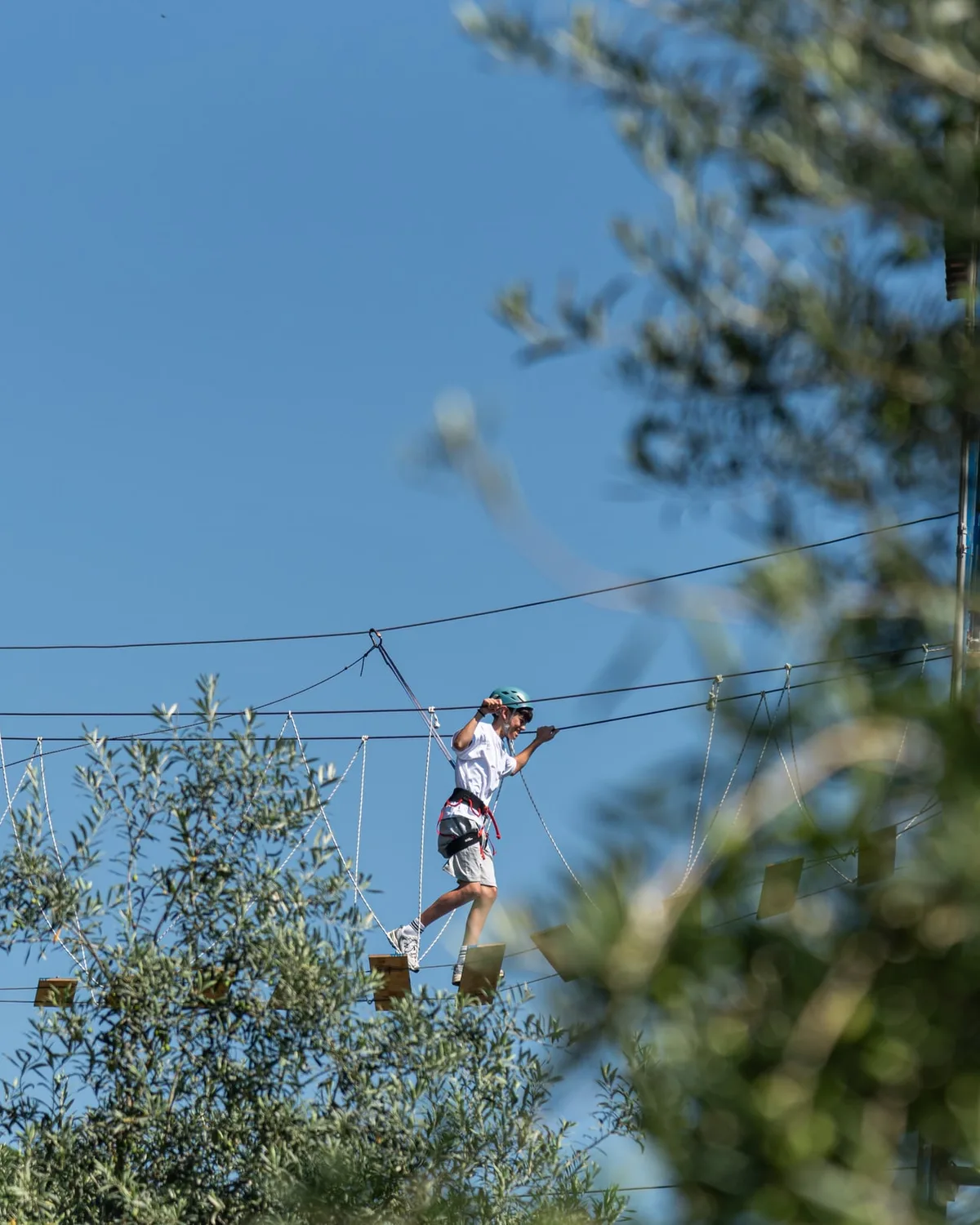 Child crossing a rope course between olive trees against a clear blue sky