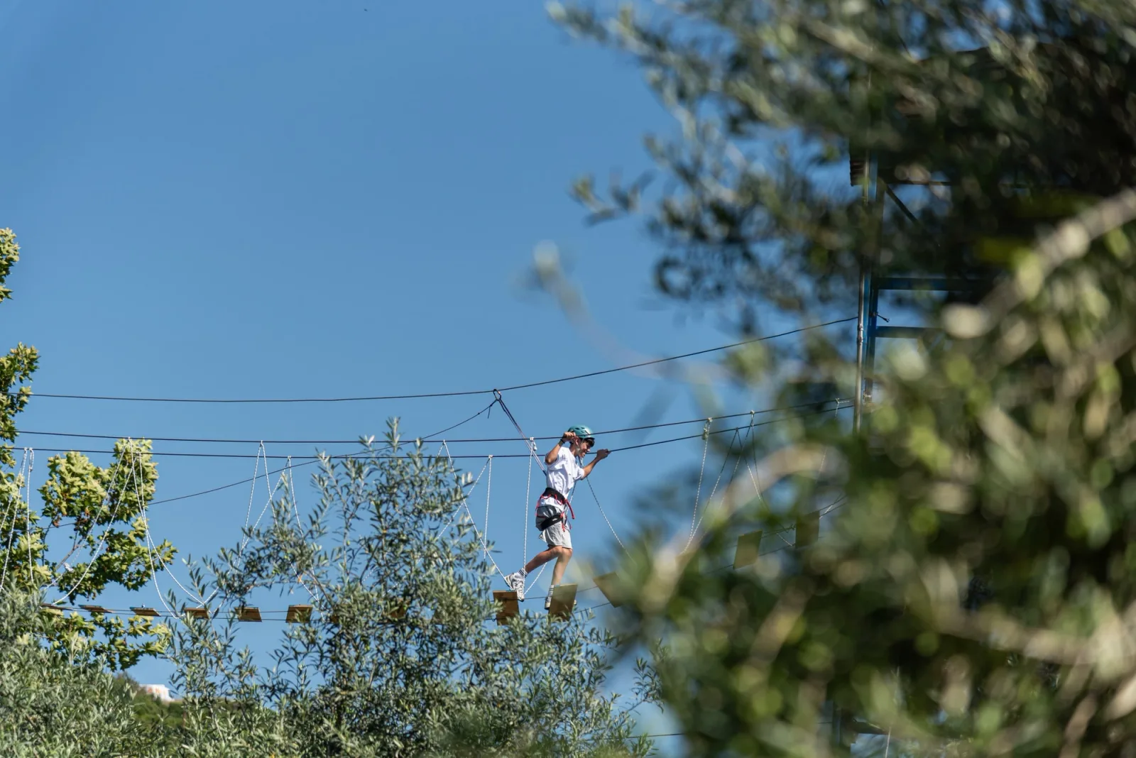 Child crossing a rope course between olive trees against a clear blue sky