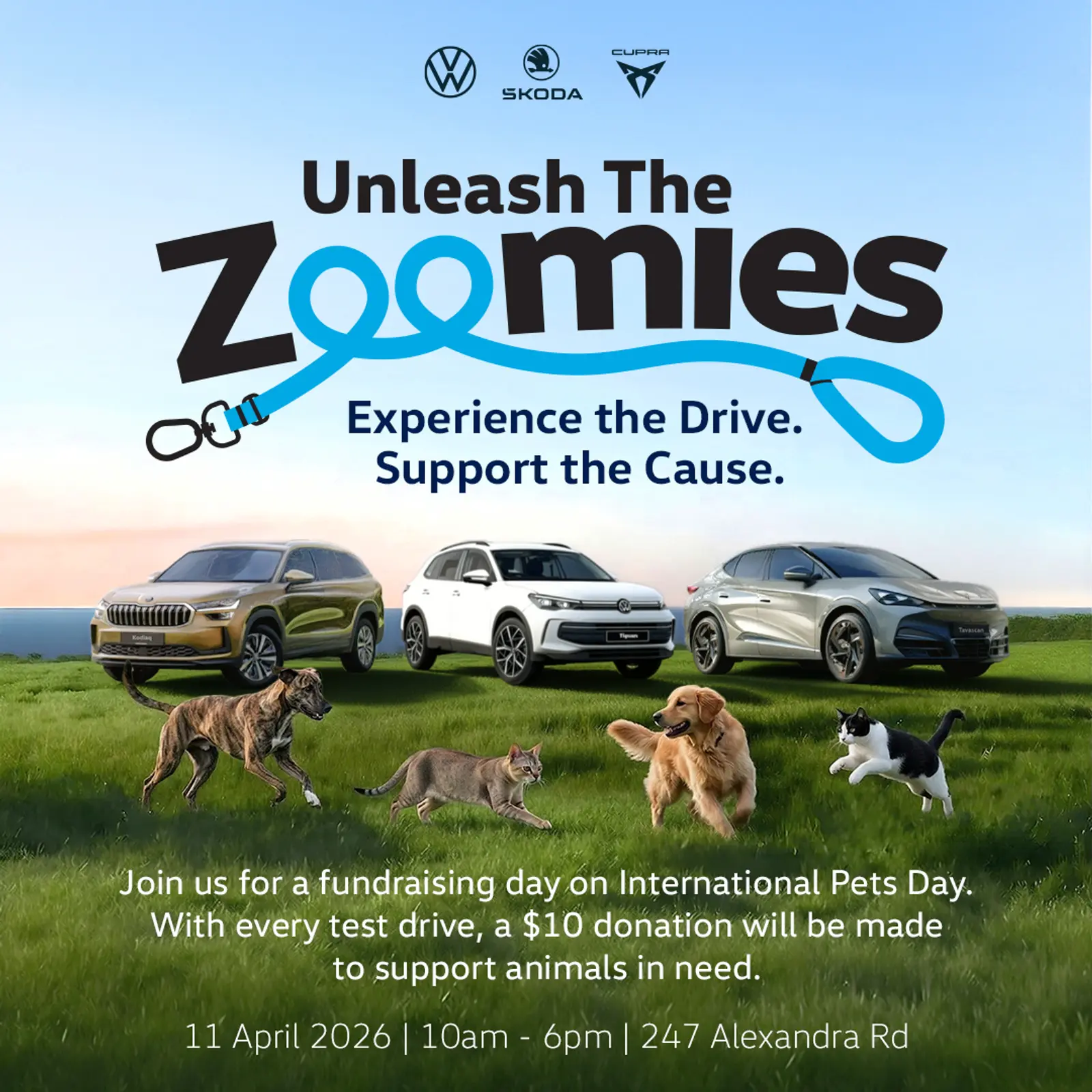 Volkswagen Group Singapore Launches Pet-Themed Charity Drive For SPCA