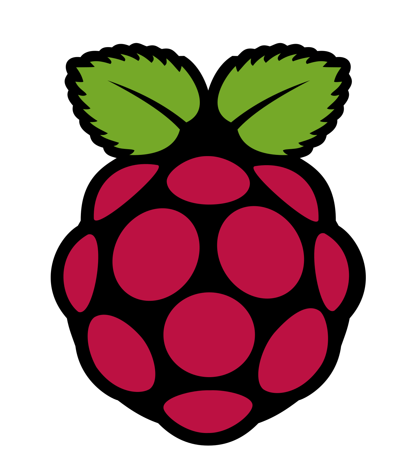 Raspberry PI