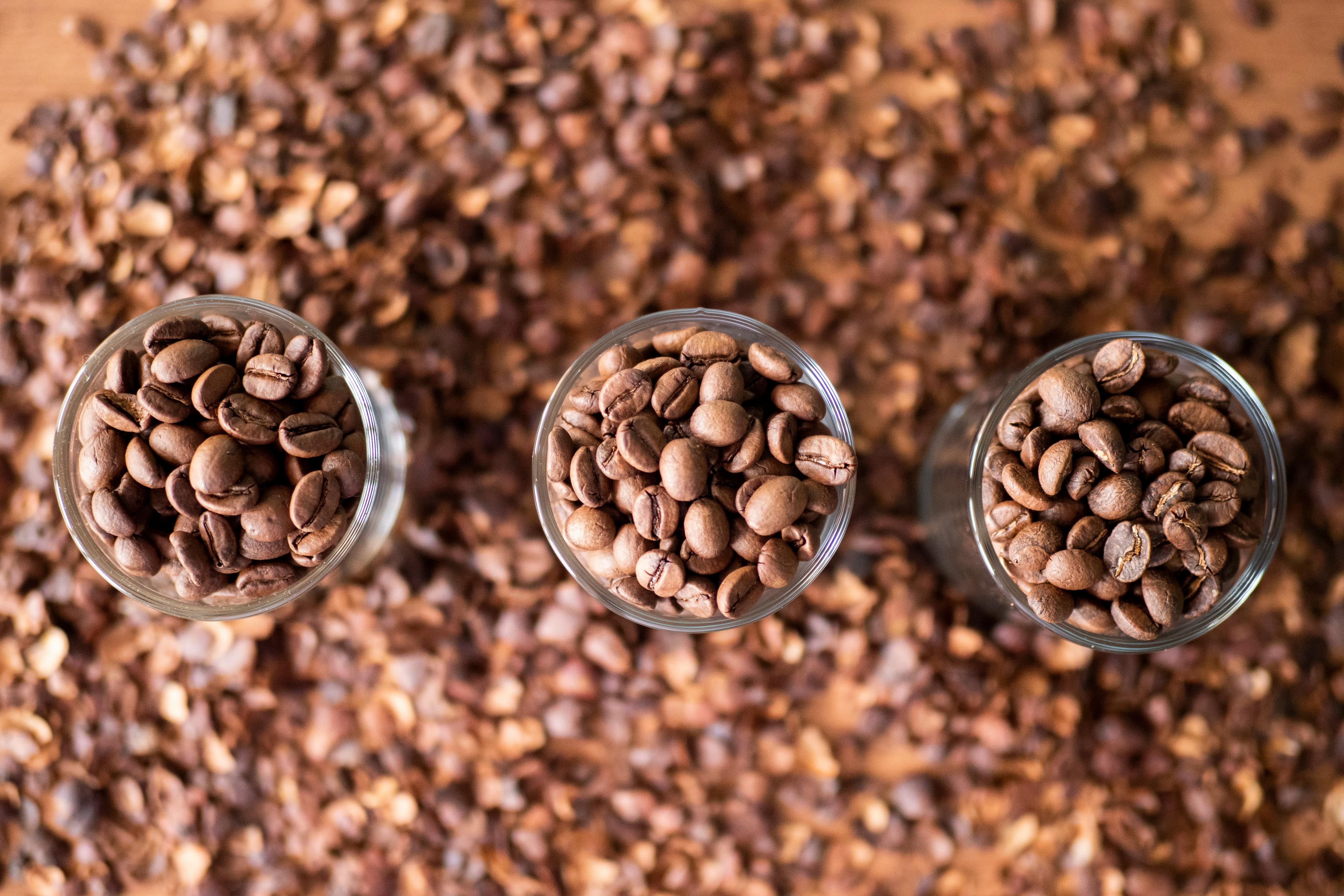Indian Coffee Varieties Explained