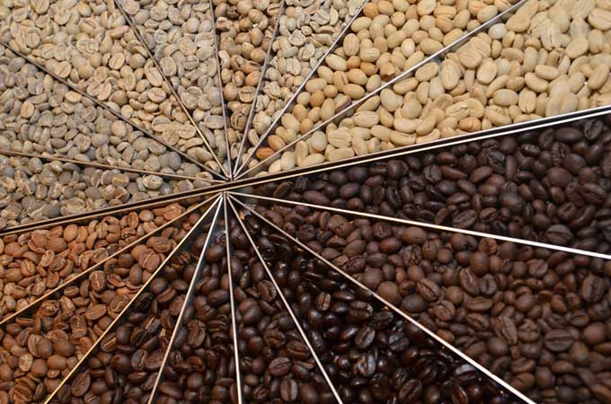 Understanding Roast Levels: An Indian Roaster Context