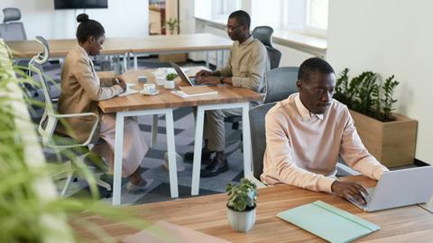 Diverse group working in a modern office setting with laptops and wooden desks.
