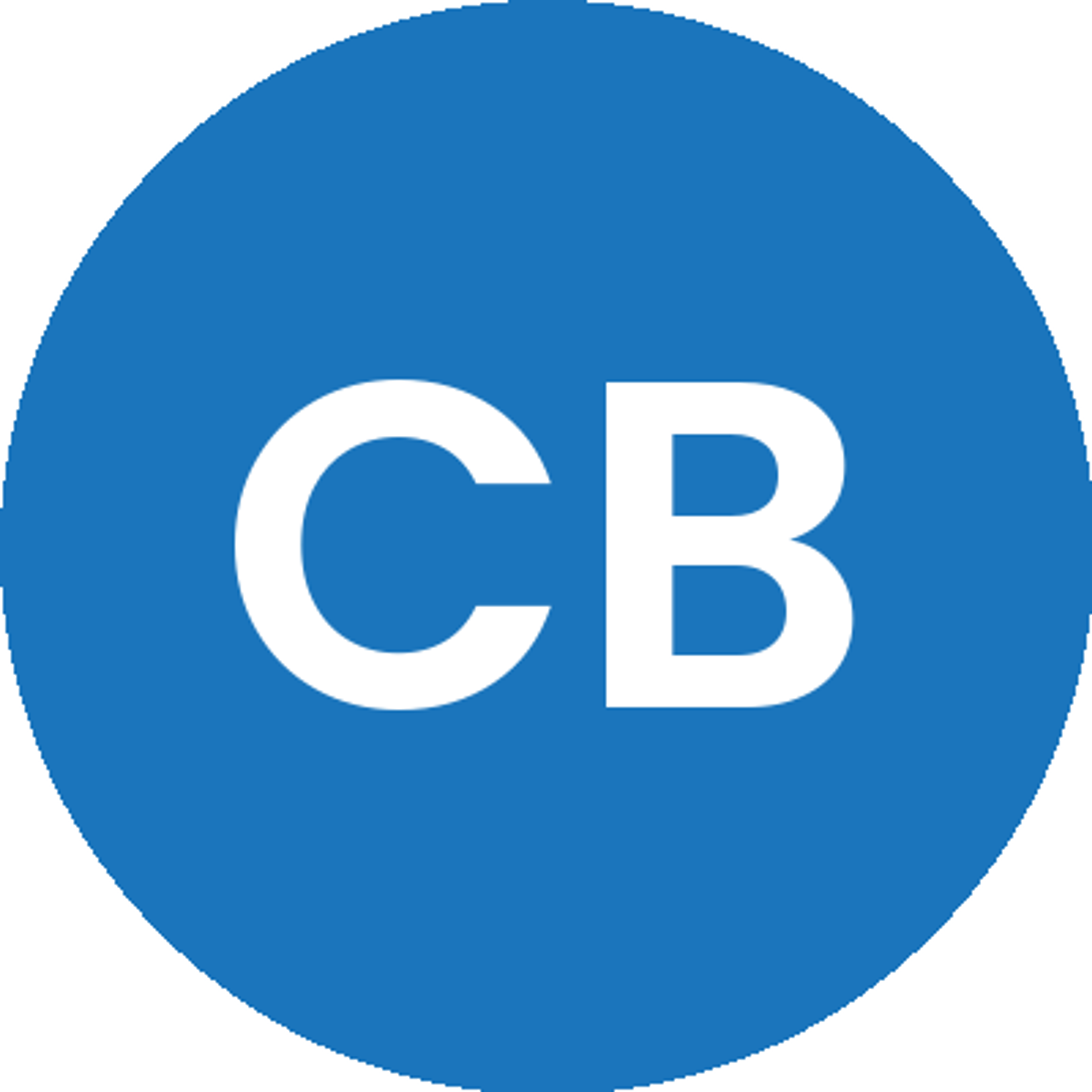 Chris Bibey