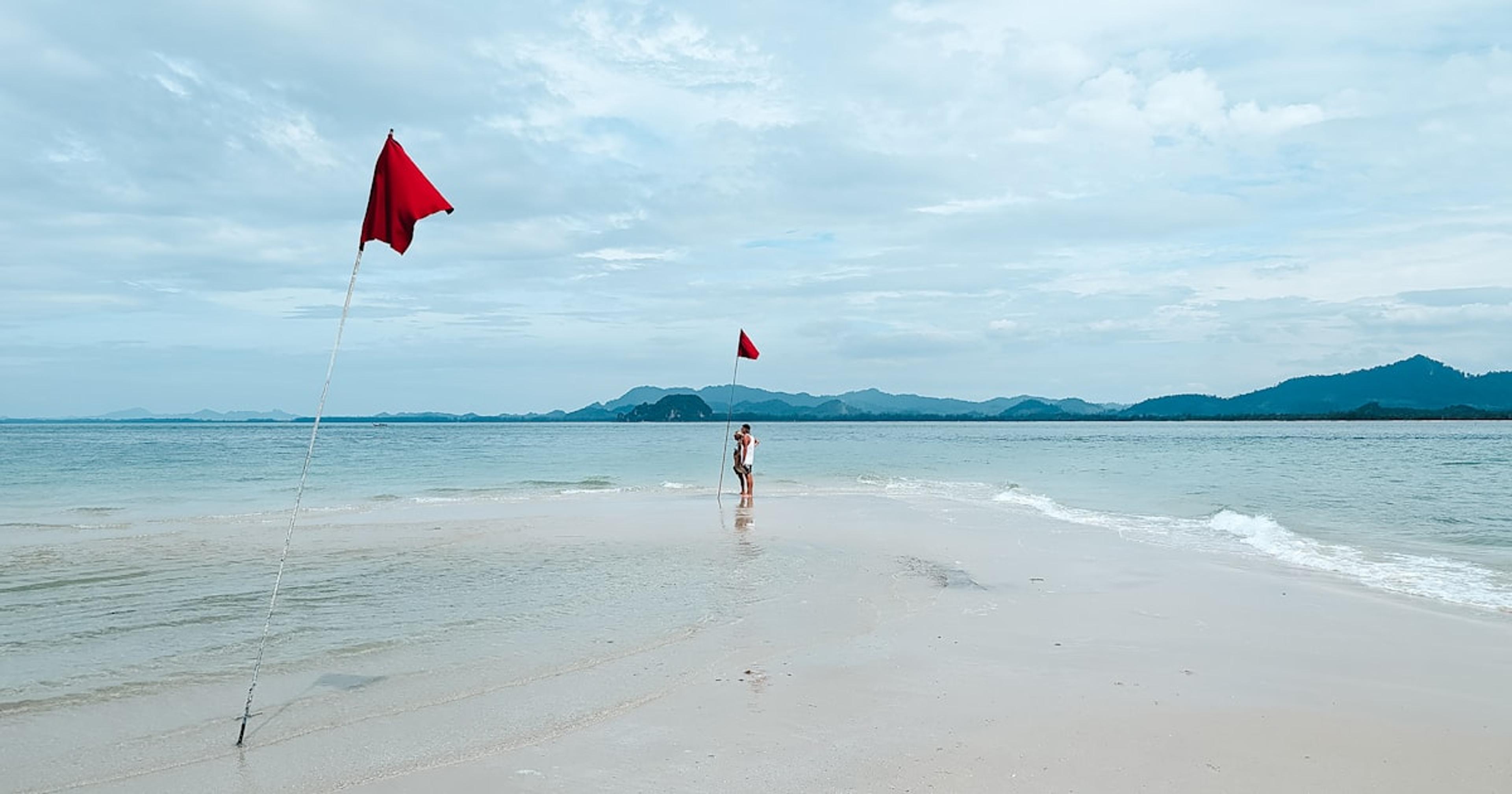 A person on a beach flying a kite
