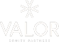 Valor Equity Partners