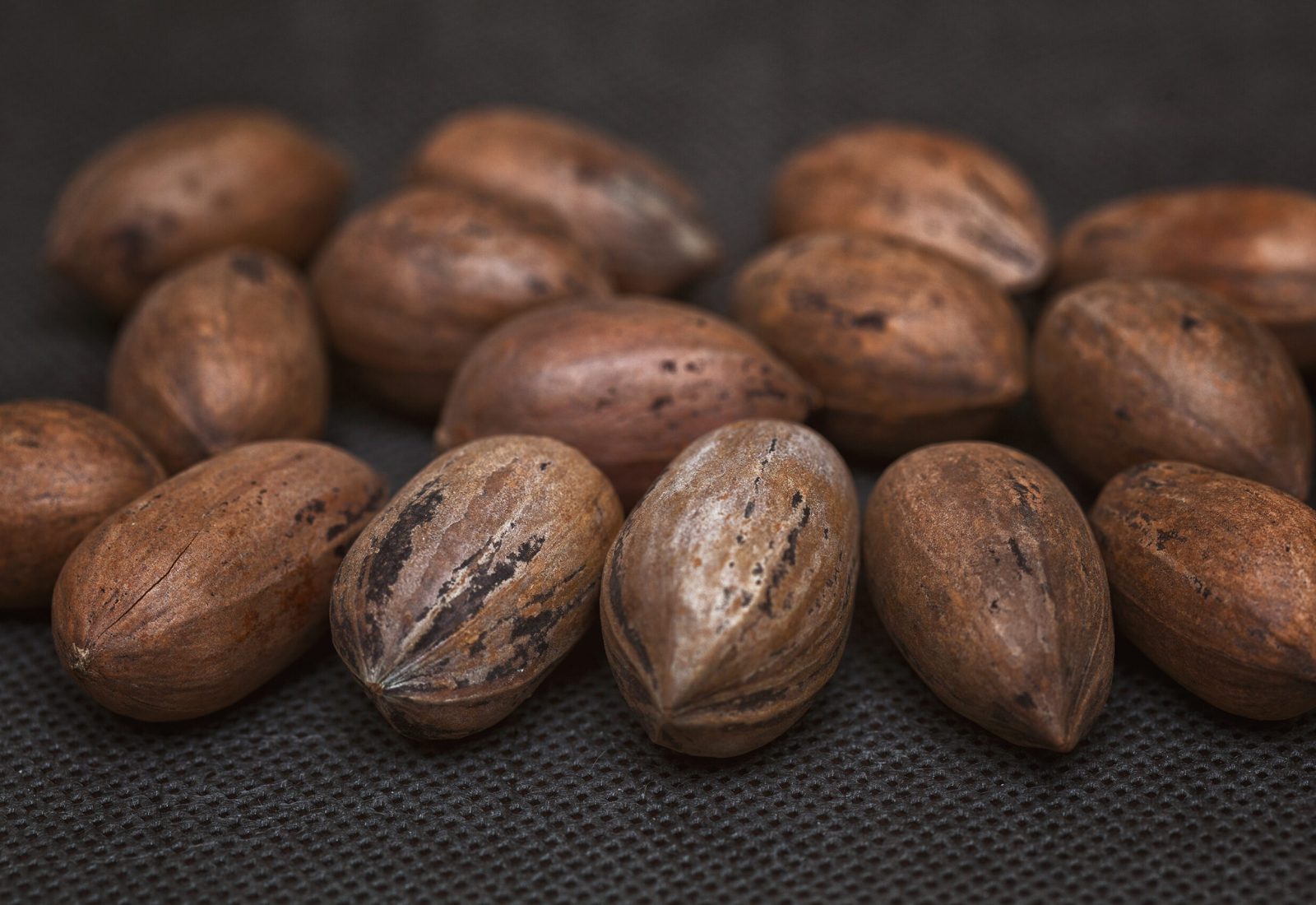 Mammoth In-Shell Pecans