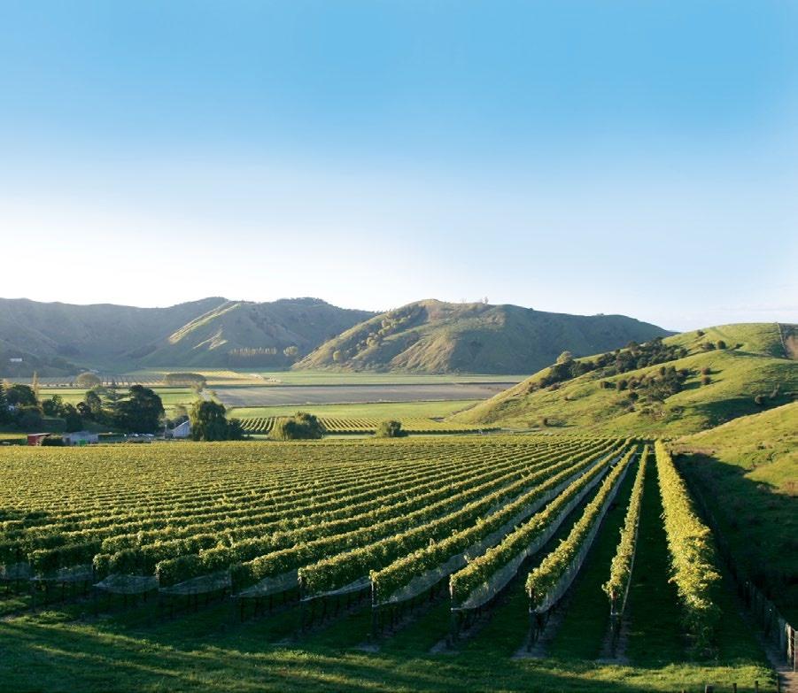 Gisborne