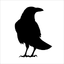 Icon for Crow