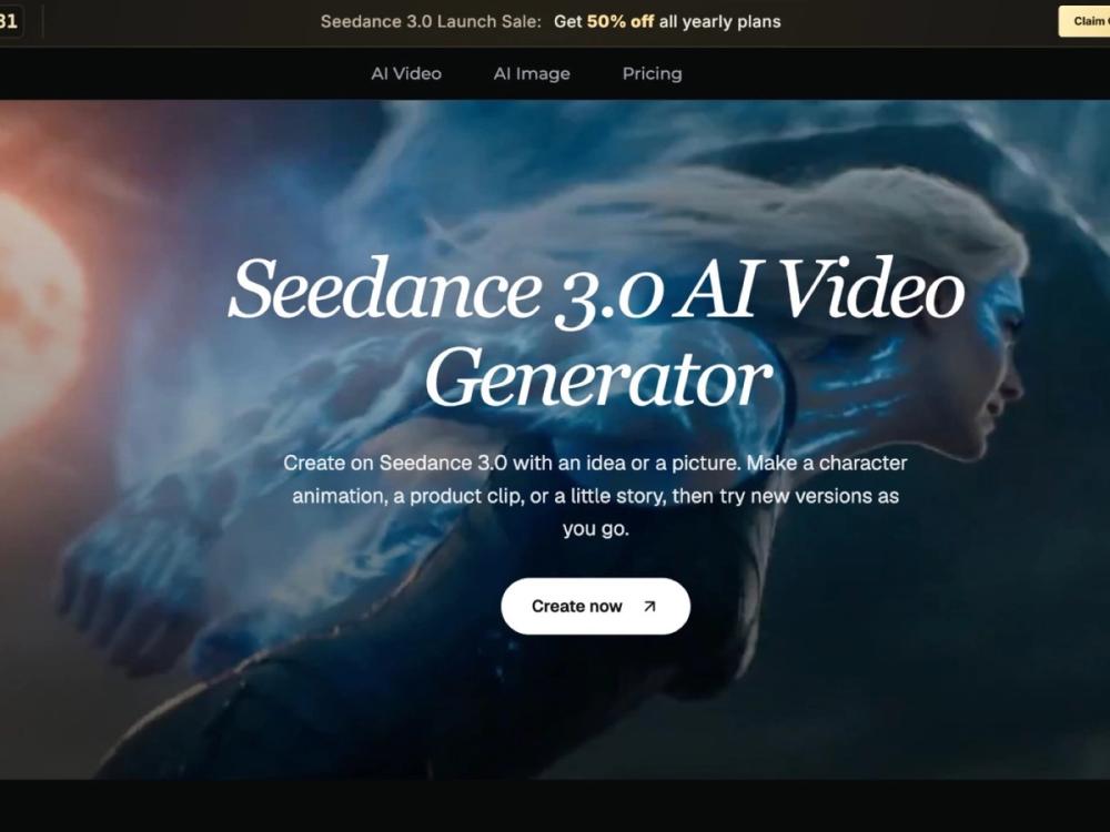 image of Seedance 3.0