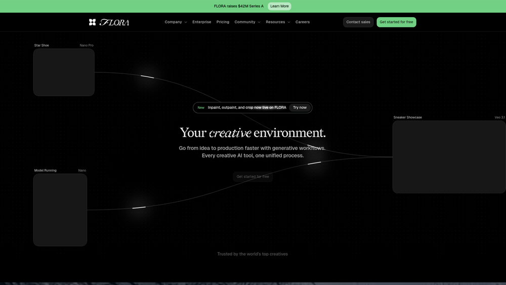 Screenshot of FLORA AI