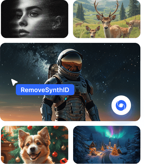 image of Remove SynthID