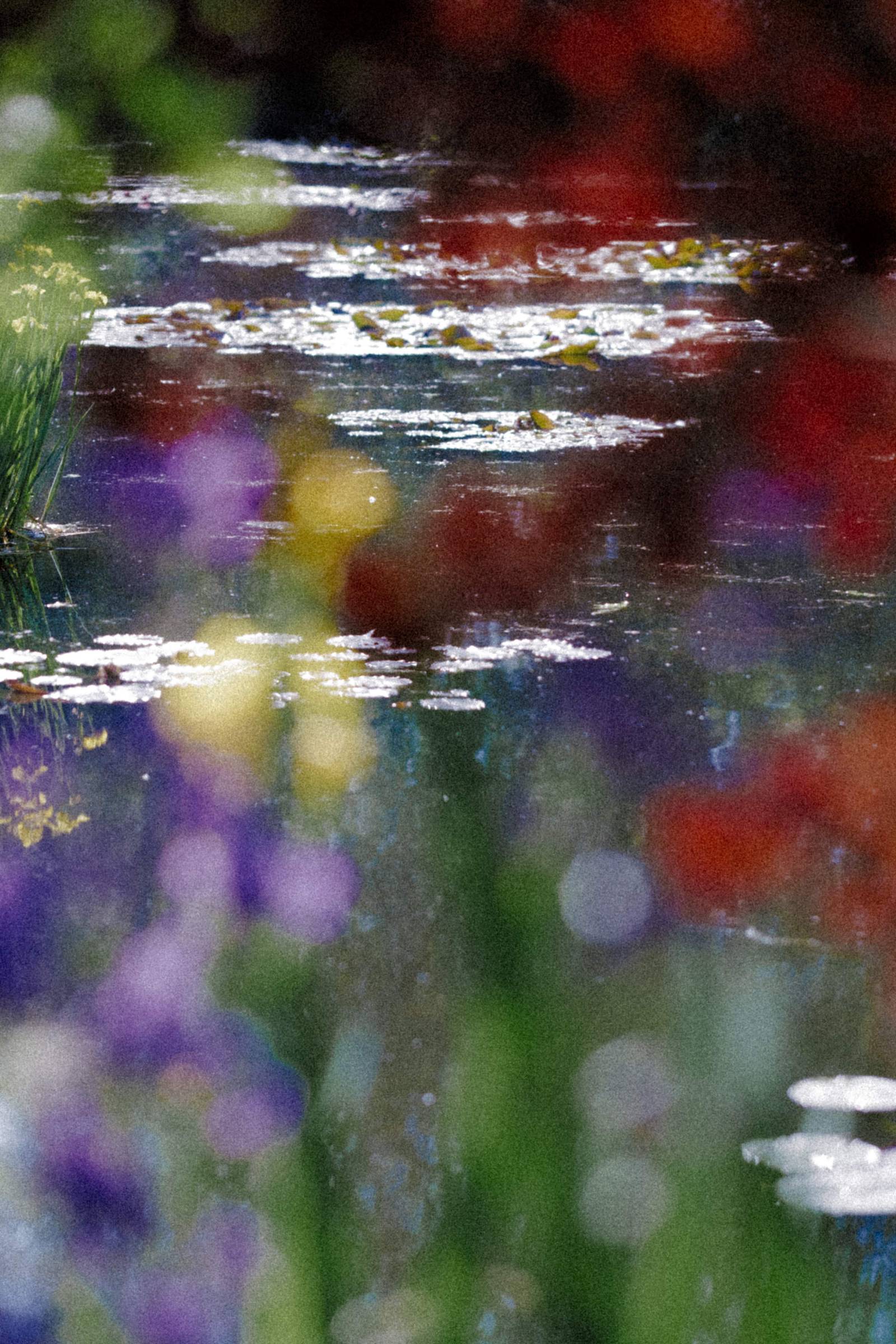 Acquisition - Fondation Hermès || "slide"}-0