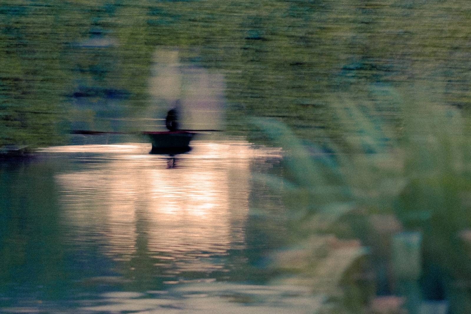 cfaa2996-e141-43df-a08f-82c05755c8f4