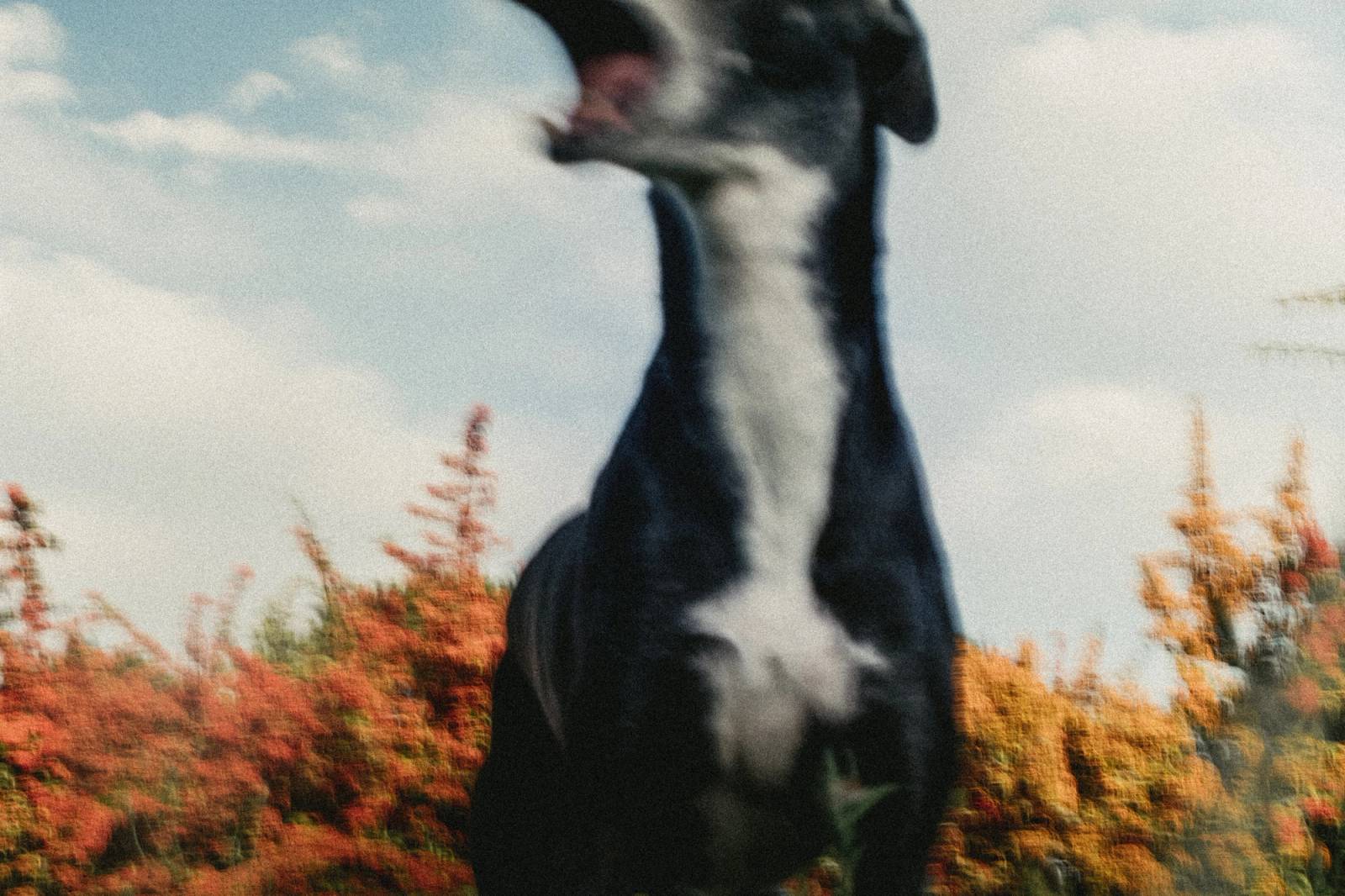 Thumbnail hovered cfaa2996-e141-43df-a08f-82c05755c8f4