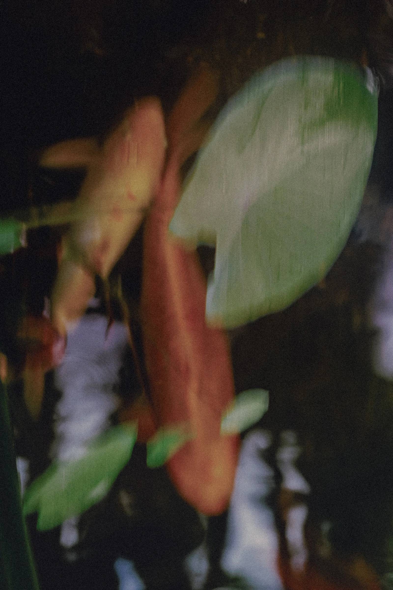 cfaa2996-e141-43df-a08f-82c05755c8f4