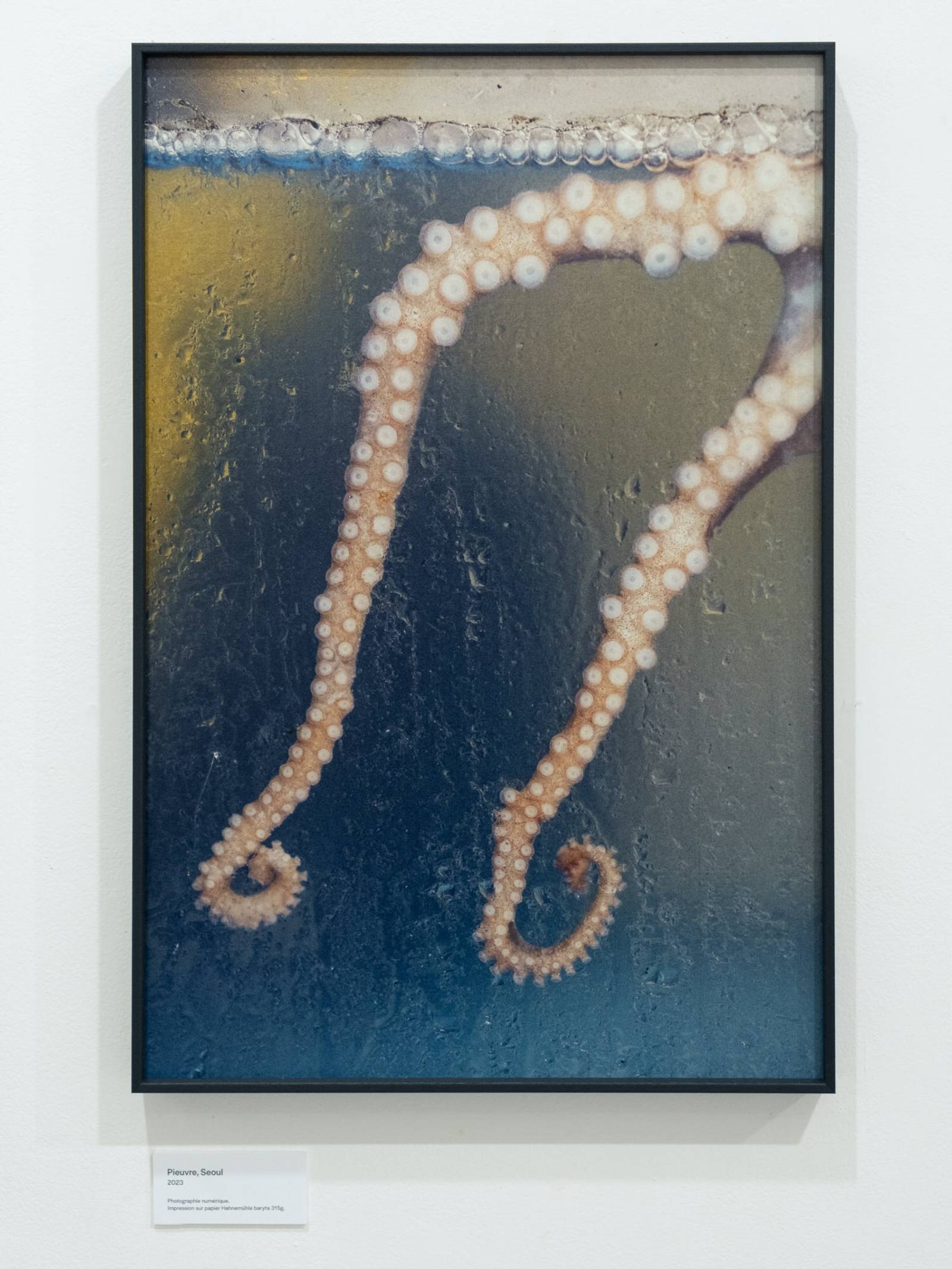 Solo Show - Résonances || "slide"}-2