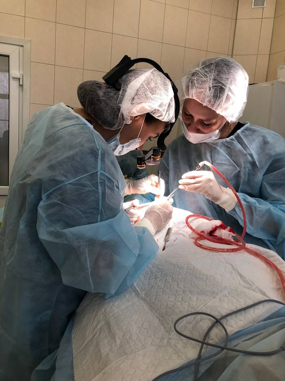 Пластический хирург пластика операции ринопластика липосакция маммопластика увеличение груди липофилинг блефаропластика фейслифтинг подтяжка лица брахиопластика круропластика бодипластика рубцовые деформации реконструкция 