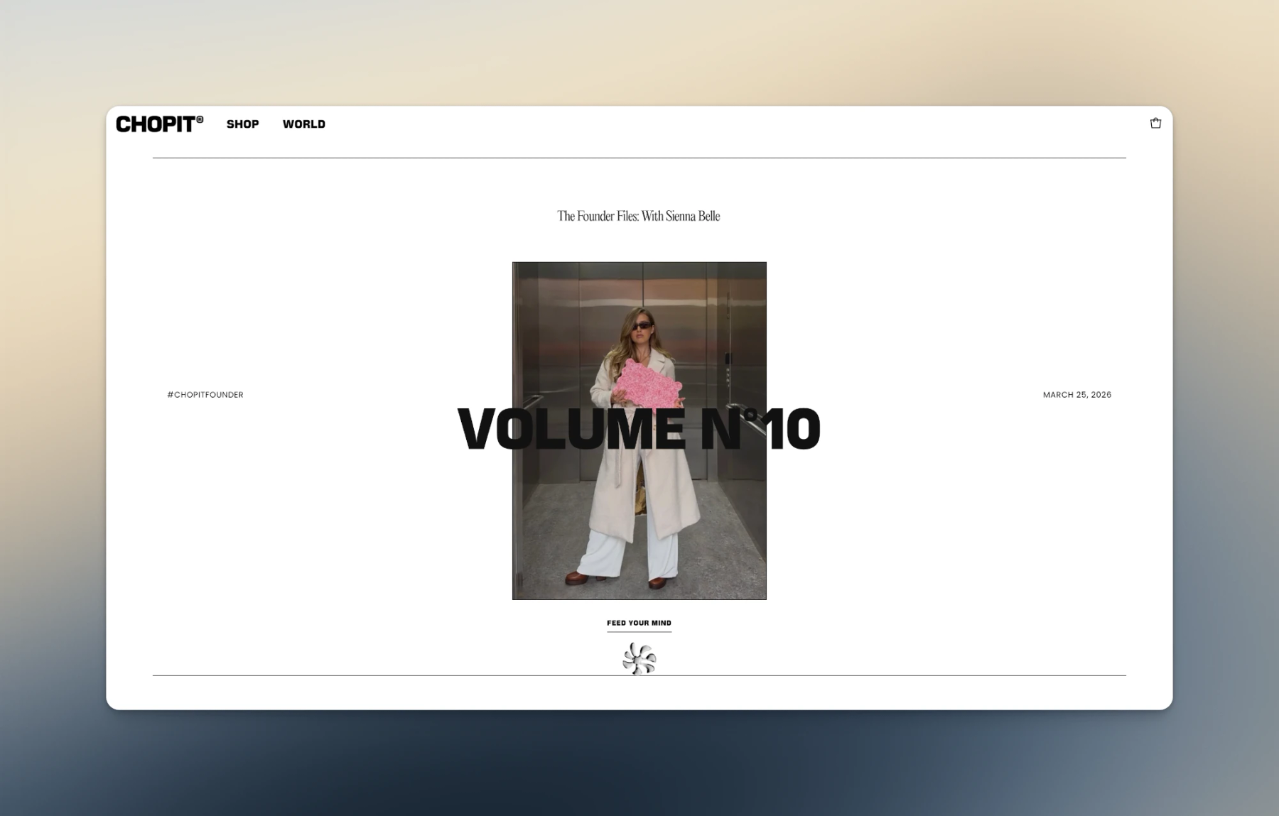 Blog Archive