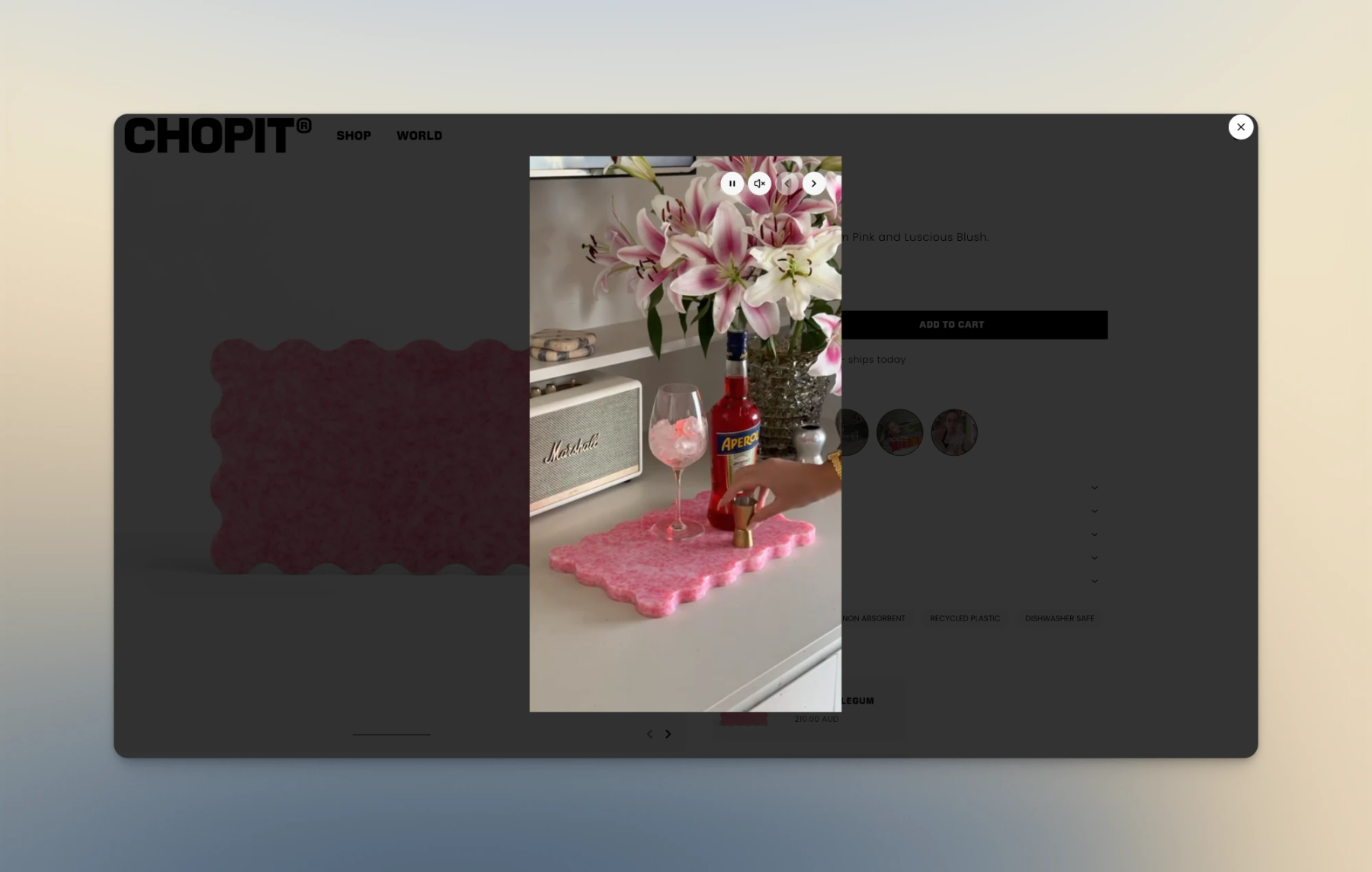 Instagram Story-Style Section